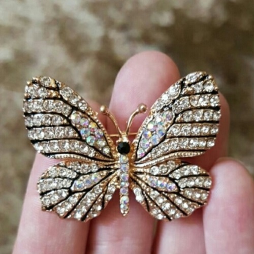 homoseksueel schrijven Mos dames luxe broche vlinder met zirkonia